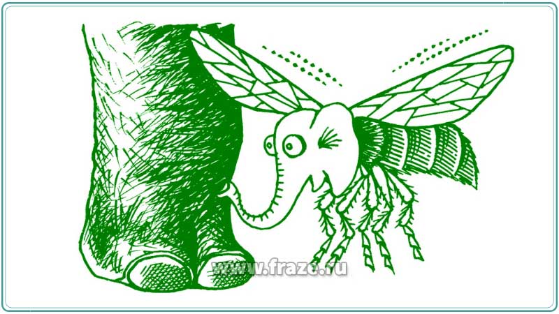 Из мухи делать слона — преувеличивать.