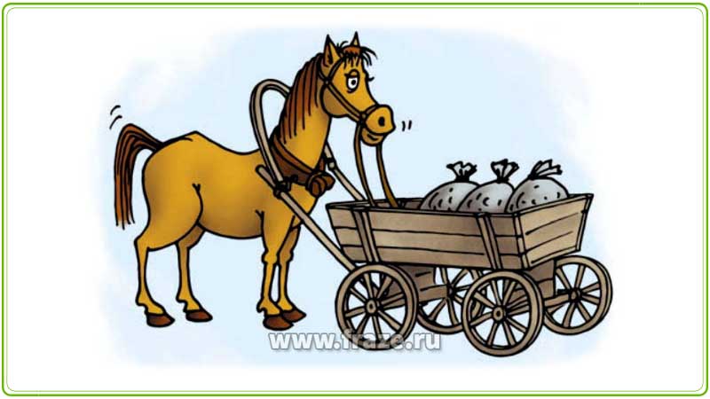 Ставить (поставить) телегу впереди лошади — нарушать принятый, заведённый и логичный порядок действий; поступать вопреки здравому смыслу.
