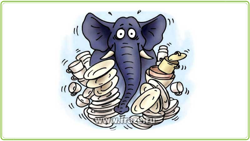 Слон в посудной лавке — поведение рассеянного и неуклюжего человека, в месте где требуется аккуратность.